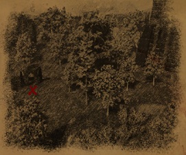 File:Treasure Map (Generic).jpg