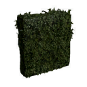 File:Tall Medium Hedge.png