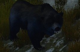 File:Large Obsidian Bear 2.jpg