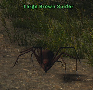 File:Large Brown Spider 2.png
