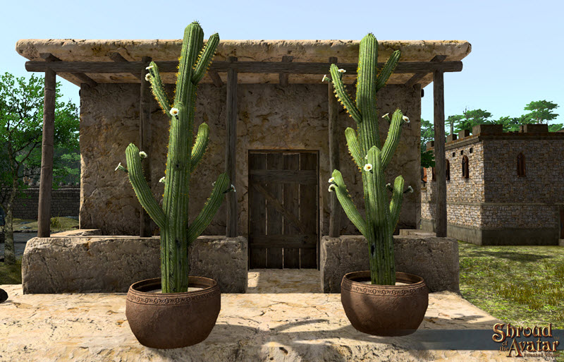 File:SotA Potted Saguara Multi-Branch Cactus.jpg