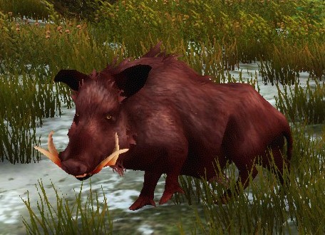 File:Razorback 1.jpg