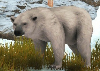 File:Ferocious Polar Bear 1.jpg