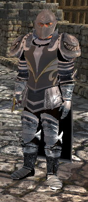 File:SotA NPC Vale Owls Head Guard Michael.png