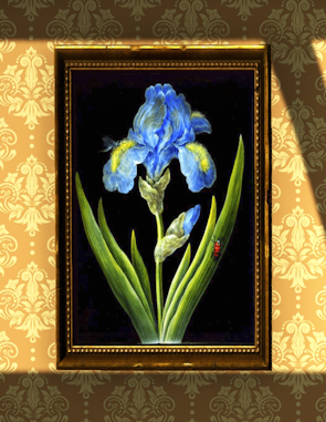 File:SOTA Insect Painting D.png