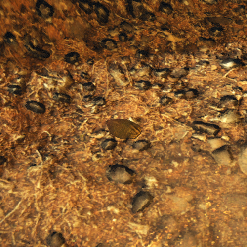 File:Pile of Scales Resource Node.png