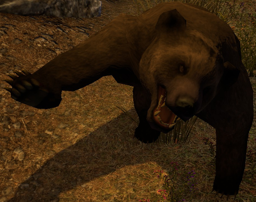 File:Brown Bear.png