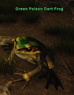 File:Green Poison Dart Frog.jpg