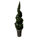 File:Hedge Spiral Tree.png