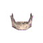 Jawbone