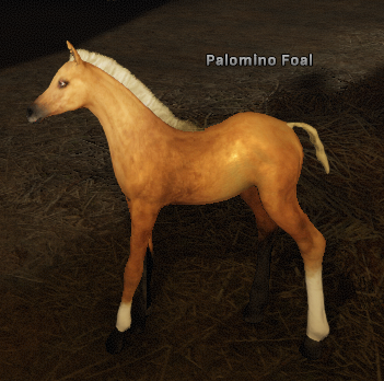 File:Palomino Foal.png
