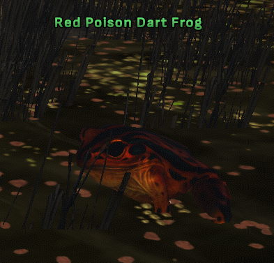File:Red Poision Dart Frog 3.png