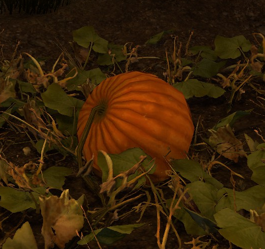 File:Pumpkin Patch.png