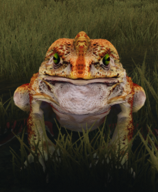 File:Pale frog.png