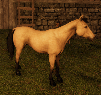 File:Buckskin Horse.png