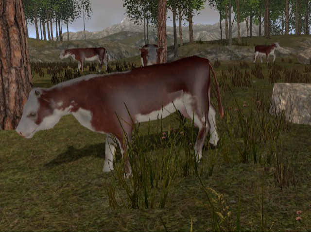 File:CowsHerd.jpg