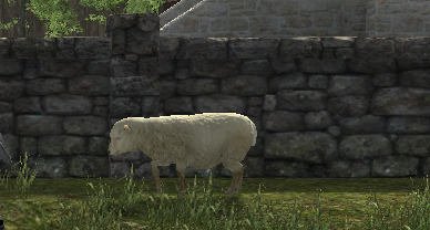 File:Sheep.jpg