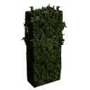 File:Tall Little Hedge.png