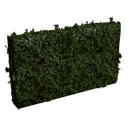 File:Tall Long Hedge.png