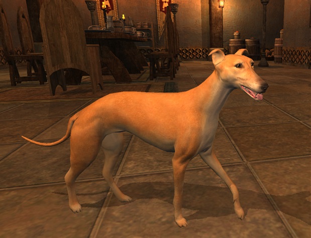 File:SotA FounderTier Pet Greyhound.jpg