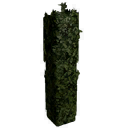 File:Tall Corner Hedge.png