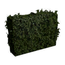 File:Short Medium Hedge.png