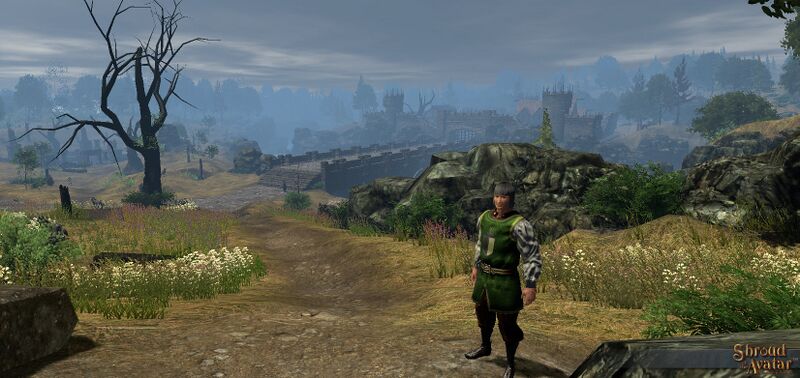 File:SotA BattleSolaceBridge2b.jpg