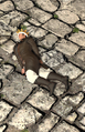 Thumbnail for version as of 22:57, 6 July 2015