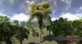 Thumbnail for version as of 19:00, 22 February 2017