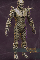 Bone Armor