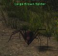 Thumbnail for version as of 12:53, 16 November 2024