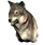 Pristine Elder Wolf Head