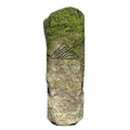 Thumbnail for version as of 20:00, 24 July 2020