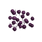 Royal Elderberry