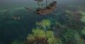 Fishing Expedition