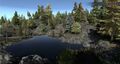 North Naryad Pinelands WIP