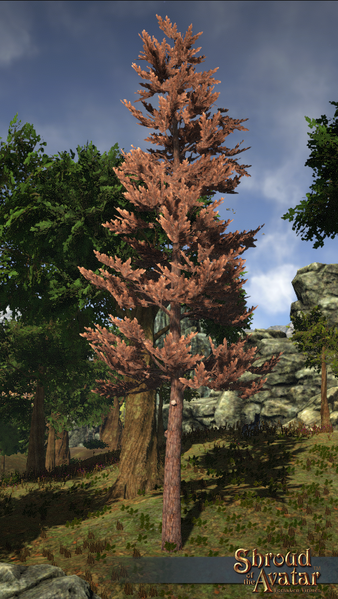 File:New-Pine-2.png