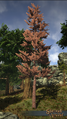 Thumbnail for version as of 22:06, 16 February 2018