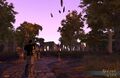 Dysborg WIP