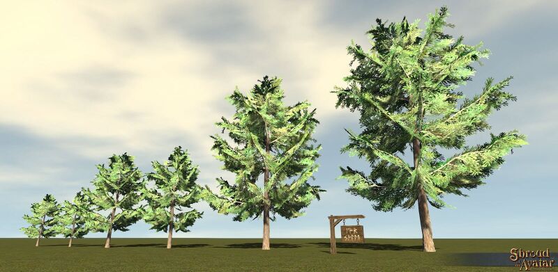 File:SotA Tree YellowCedar 6Pack.jpg
