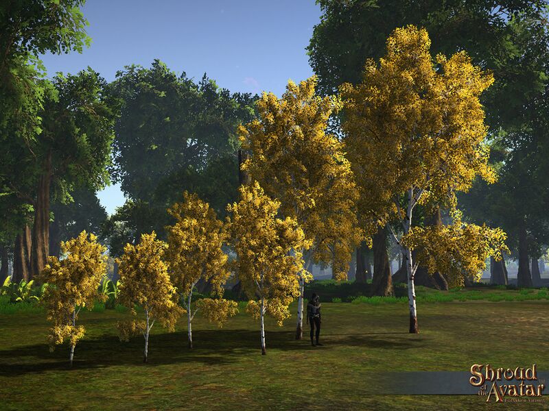 File:SS 4Starr FallBirchTrees 6Pack A.jpg