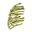 Troll Rib Cage