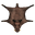 Boar Skin Rug