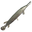 Alligator Gar