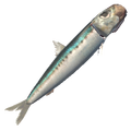Thumbnail for version as of 21:43, 12 September 2019