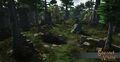 East Longfall Wetland