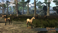 Thumbnail for version as of 22:56, 27 June 2024