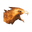 Phoenix Head
