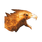 Phoenix Head