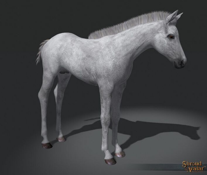 File:SotA MountStretchGoal HorseFoalWhite.jpg
